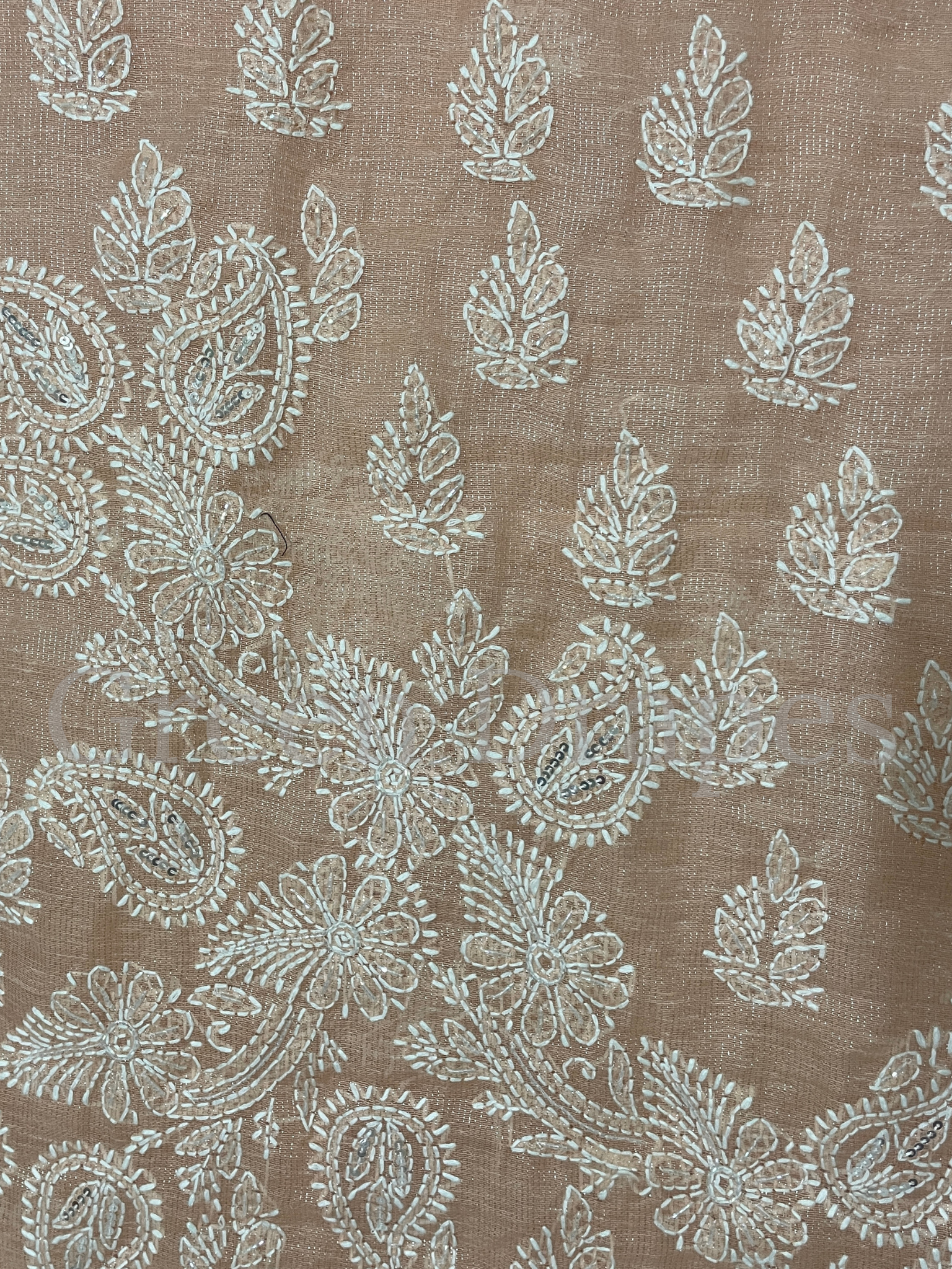 Handcrafted Nude Brown Chikankari Organza Saree – White Paisley & Floral Embroidery | Lucknowi Chikan Saree