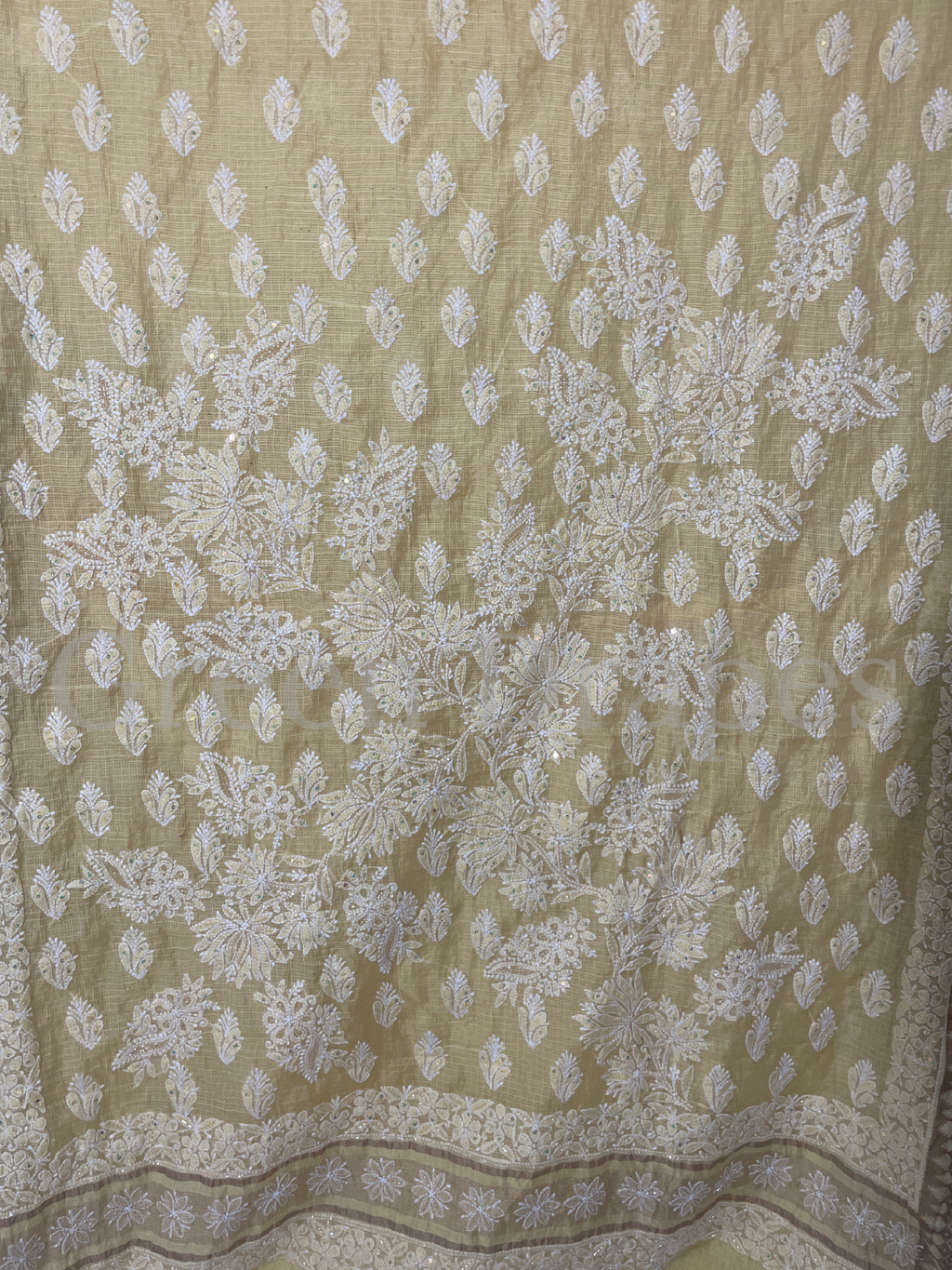 Handcrafted Pastel Beige Chikankari Organza Saree – White Floral Thread Embroidery | Lucknowi Chikan Saree